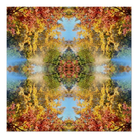 秋の美しい森… ポスター (正面)