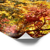 秋の美しい森… ポスター (コーナー)