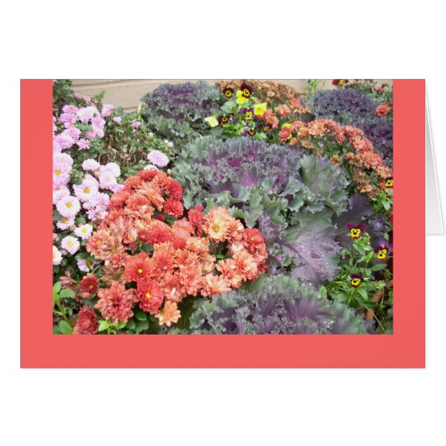 秋の美しい (正面横)