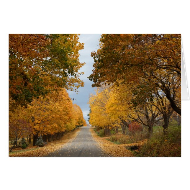 "秋の美しい" (正面横)