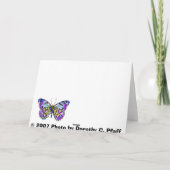 秋の美しい カード (裏面)