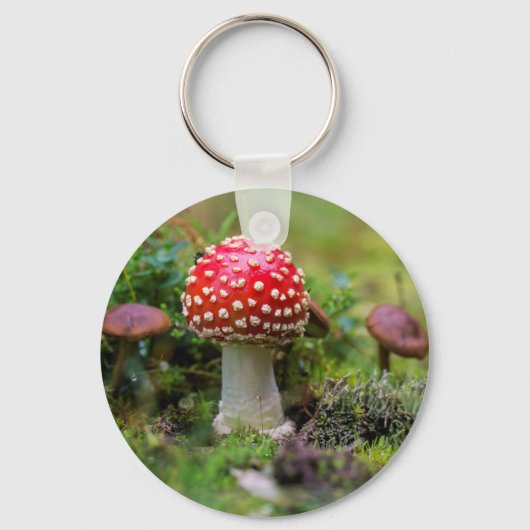 秋の美しい キーホルダー (正面)