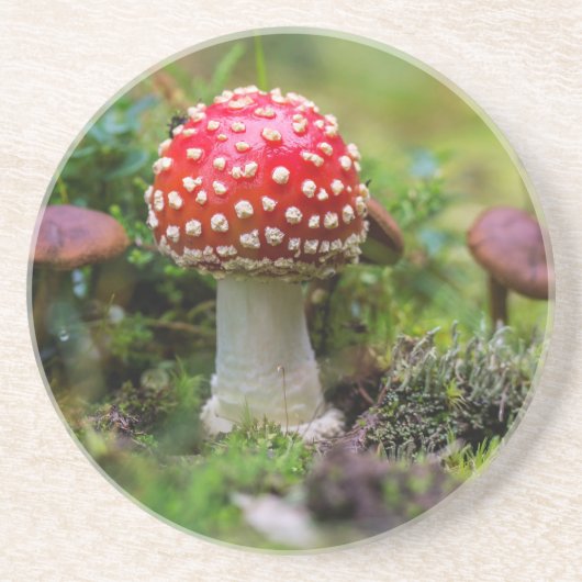 秋の美しい コースター (正面)