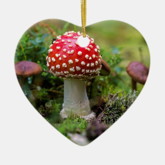 秋の美しい セラミックオーナメント (正面)