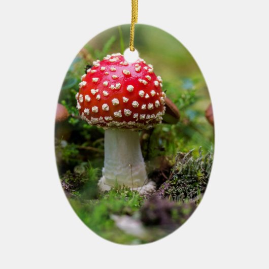 秋の美しい セラミックオーナメント (正面)