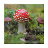 秋の美しい タイル (正面)