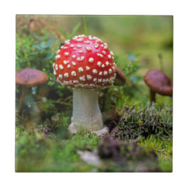 秋の美しい タイル