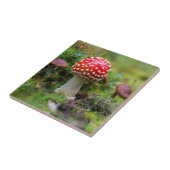 秋の美しい タイル (側面)