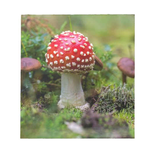 秋の美しい ノートパッド (正面)