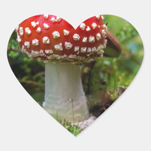 秋の美しい ハートシール (正面)