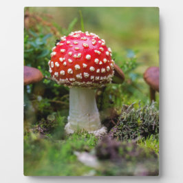 秋の美しい フォトプラーク