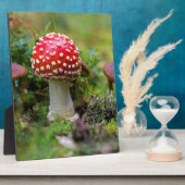 秋の美しい フォトプラーク (側面)