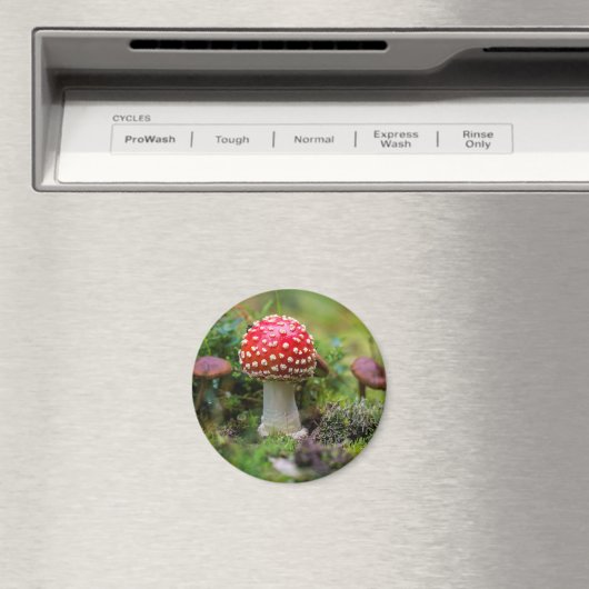 秋の美しい マグネット (インサイチュ (食洗機))