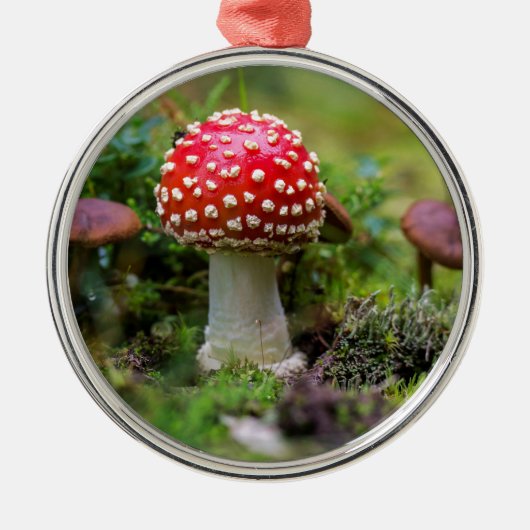 秋の美しい メタルオーナメント (正面)