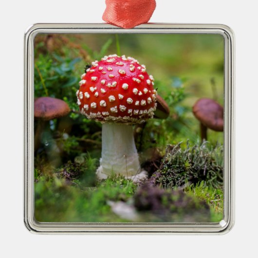 秋の美しい メタルオーナメント (正面)