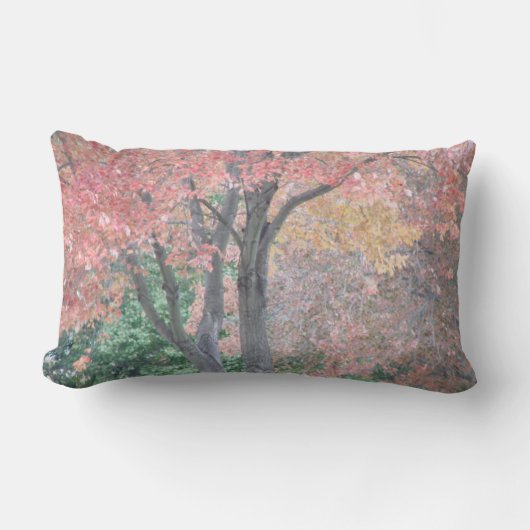 秋の美しい ランバークッション (正面)