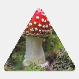 秋の美しい 三角形シール