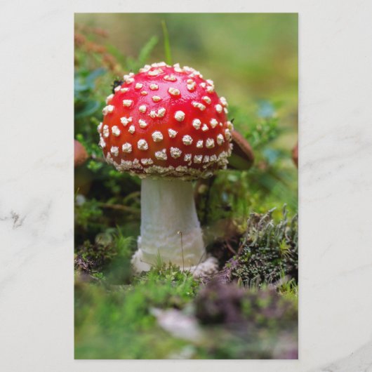 秋の美しい 便箋 (正面)