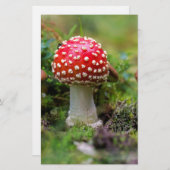 秋の美しい 便箋 (正面/裏面)