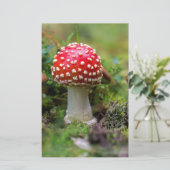 秋の美しい 便箋 (スタンド正面)