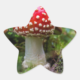 秋の美しい 星シール