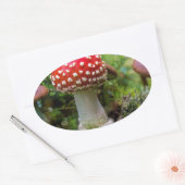 秋の美しい 楕円形シール (封筒)