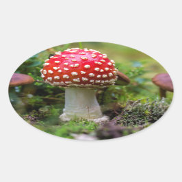 秋の美しい 楕円形シール