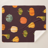 秋の美しさとカラフル シェルパブランケット (正面(横))