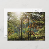 秋の群葉 ポストカード (正面/裏面)