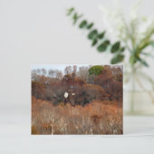 秋の翼 ポストカード (スタンド正面)