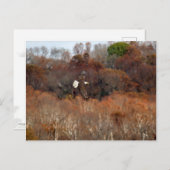 秋の翼 ポストカード (正面/裏面)