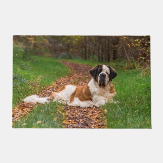 秋の聖ベルナード犬 ドアマット (正面)