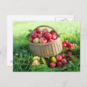 秋の背景 ポストカード (正面/裏面)