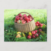 秋の背景 ポストカード (正面)