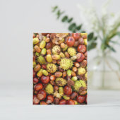 秋の背景 ポストカード (スタンド正面)