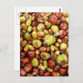 秋の背景 ポストカード (正面/裏面)