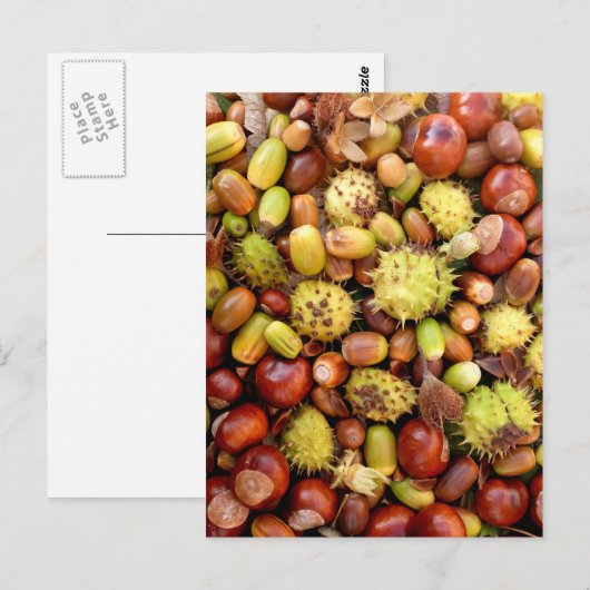 秋の背景 ポストカード (正面/裏面)