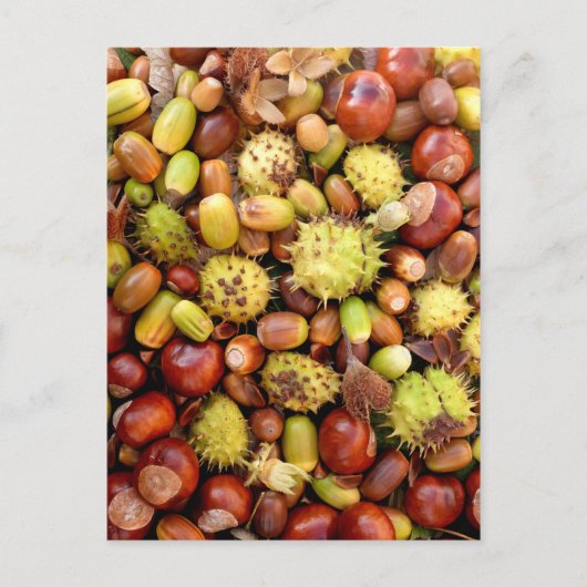 秋の背景 ポストカード (正面)