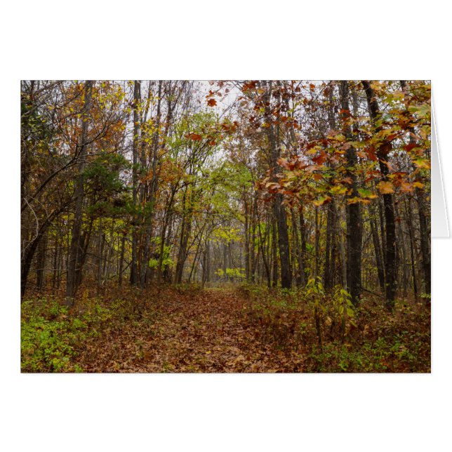 秋の至福 (正面横)