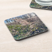 秋の至福… コースター (左側)