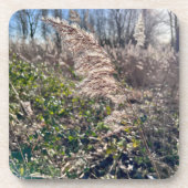 秋の至福… コースター (正面)