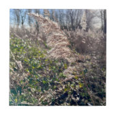 秋の至福… タイル (正面)