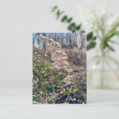 秋の至福… ポストカード (スタンド正面)