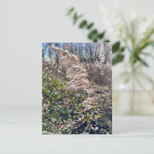 秋の至福… ポストカード (スタンド正面)