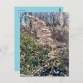 秋の至福… ポストカード (正面/裏面)