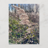 秋の至福… ポストカード (正面)