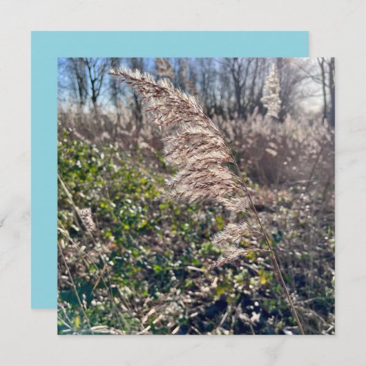 秋の至福… 招待状 (正面/裏面)