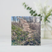 秋の至福… 招待状 (スタンド正面)