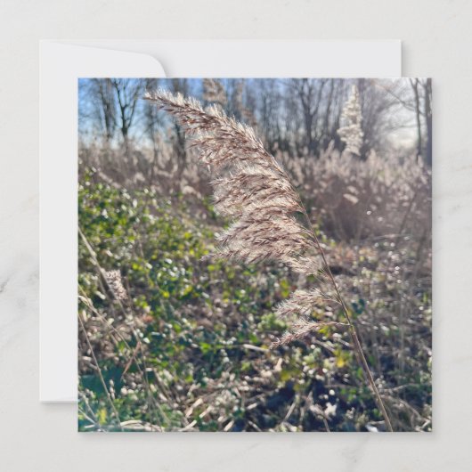 秋の至福… 招待状 (正面)