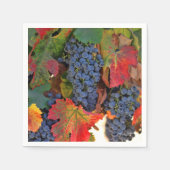 秋の色かわいらしワインヴィンヤードカクテル スタンダードカクテルナプキン (正面)